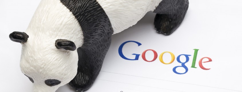 Google’s Latest Panda Update: Bigger Does Not Mean Better